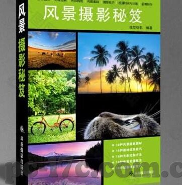 大象传媒YoYo-探索大象传媒YoYo，创新与融合的传媒新势力