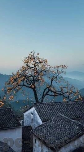 口述和老师伦理故事-口述与师道，一位老师的伦理故事