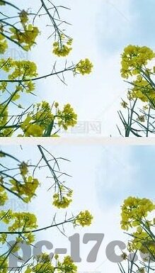糖心视频下载APP-糖心视频，一款优质视频下载APP的深度体验
